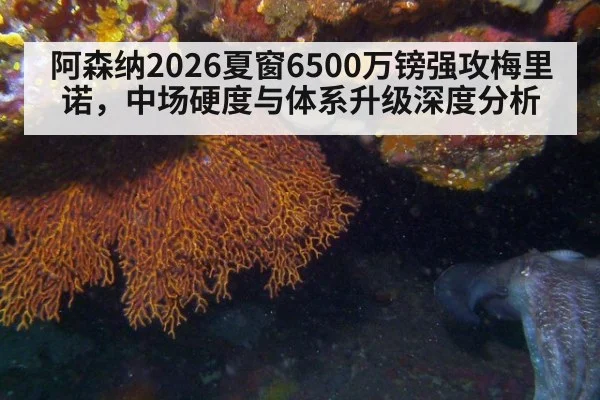 阿森纳2026夏窗6500万镑强攻梅里诺,中场硬度与体系升级深度分析