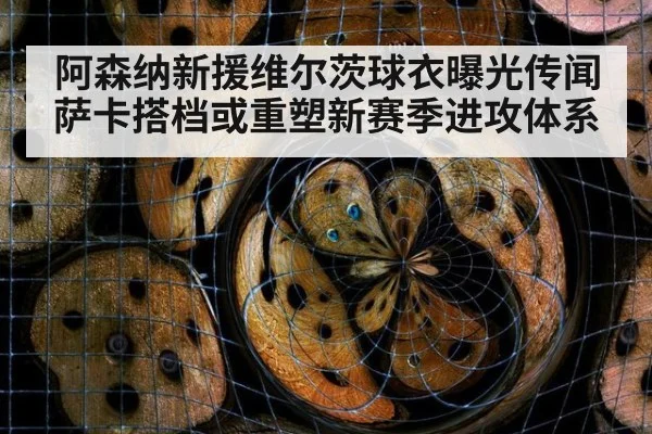 阿森纳新援维尔茨球衣曝光传闻 萨卡搭档或重塑新赛季进攻体系